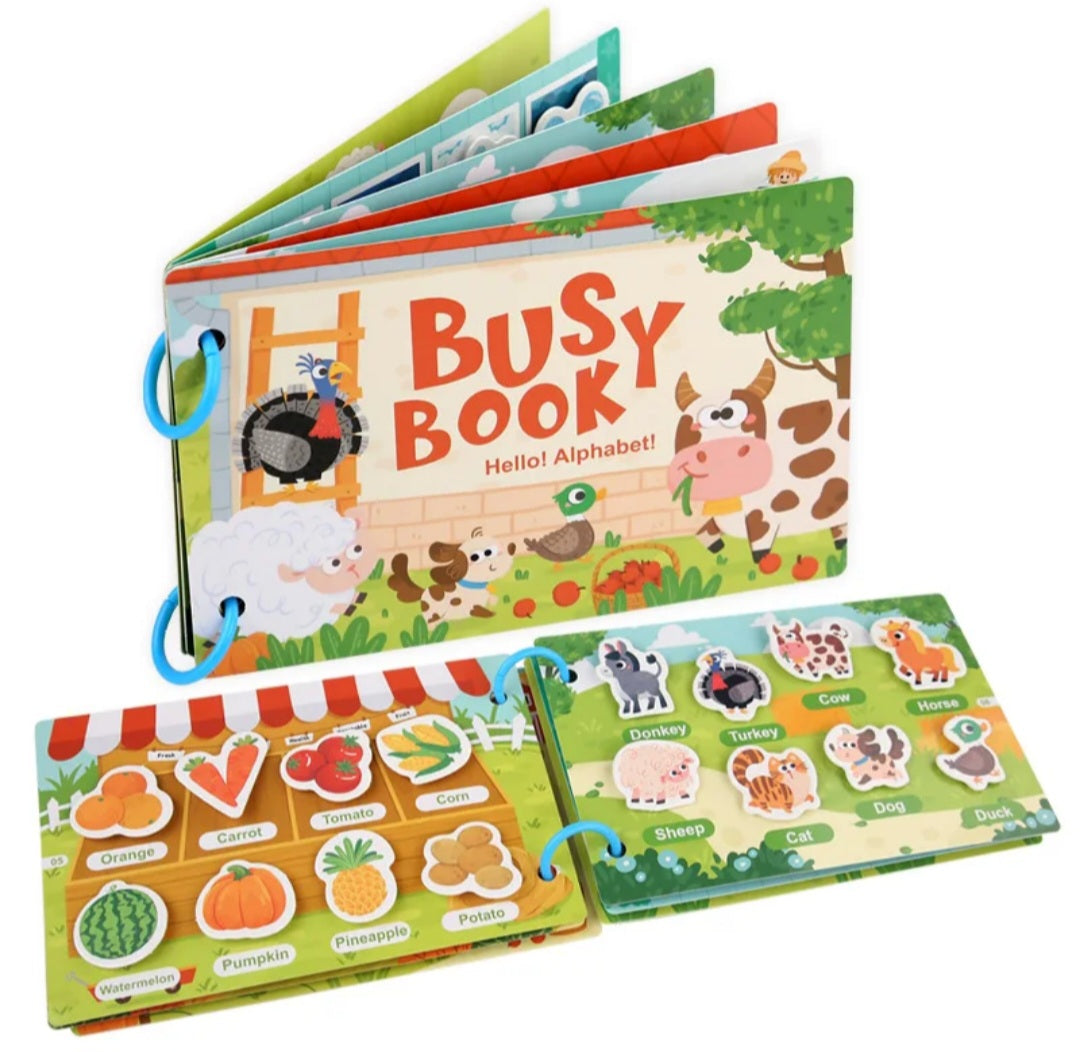 BUSY BOOK
