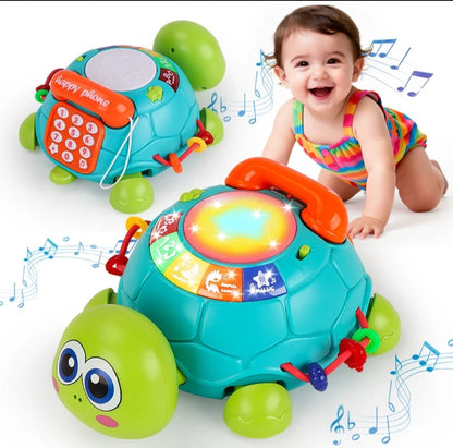 6-in-1 Musical Turtle Toy Description