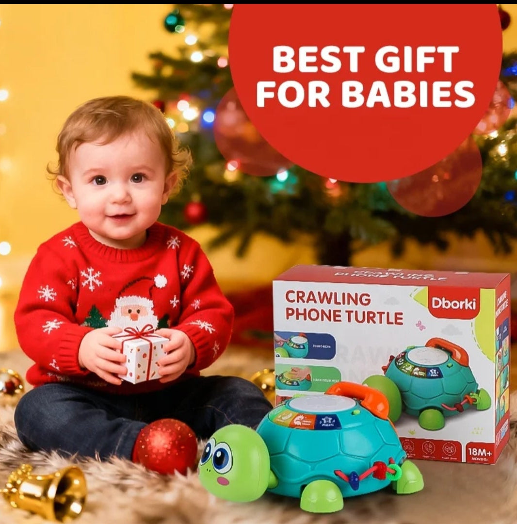 6-in-1 Musical Turtle Toy Description