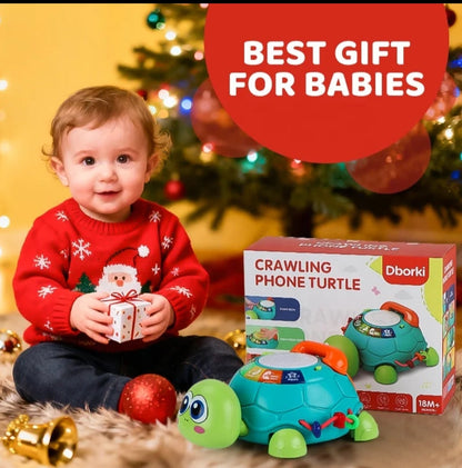 6-in-1 Musical Turtle Toy Description
