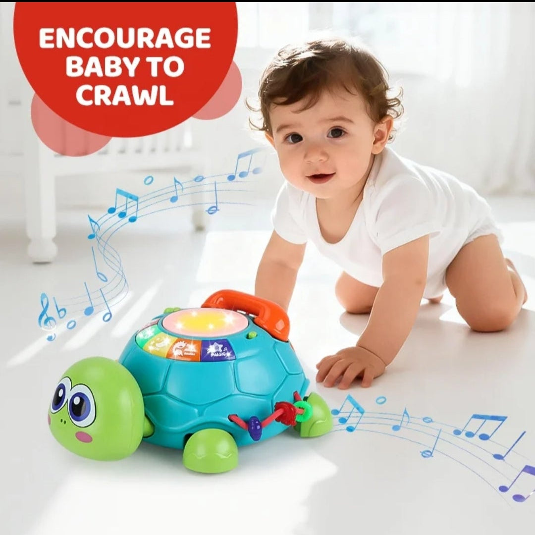 6-in-1 Musical Turtle Toy Description