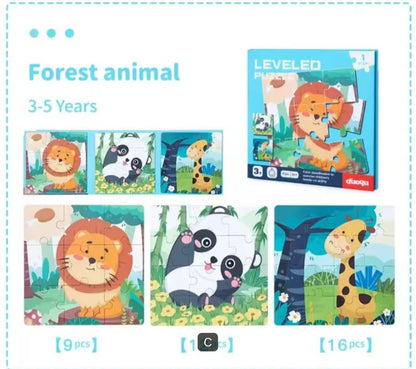 Leveled puzzle