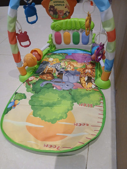 Baby Activity gym