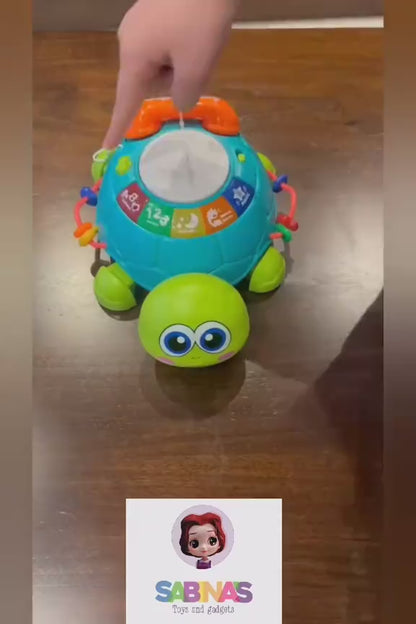 6-in-1 Musical Turtle Toy Description