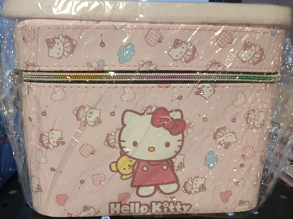 Beauty and makeup case